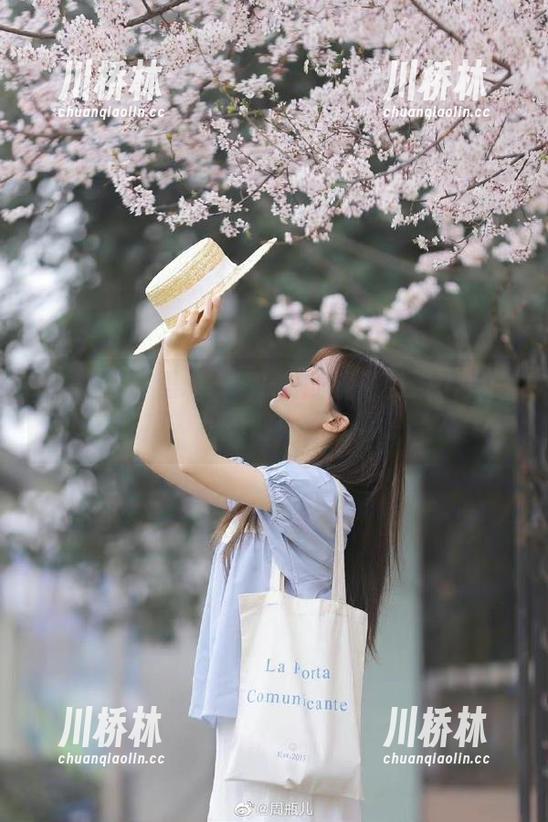 168su 黑料.168su的视频引发了我的‘吃瓜’新风潮!你捡漏了吗?