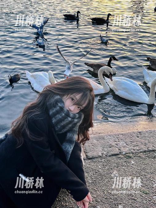 718娱乐 收藏这条,718娱乐的瓜就又多了几个新高光时刻