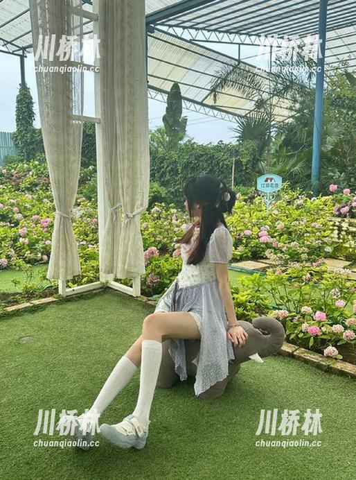 从hl06黑料地址窥探圈内秘辛，真是一场奇妙的旅行！