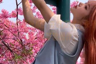 免费吃瓜？在吃瓜网，永不迷路，点赞是基础操作！