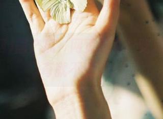 国产瓜，网页里看！吃瓜网的神奇就不说了。