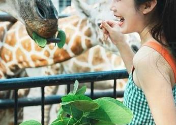冲呀！吃瓜网红直达新天地，备用链接来袭，别走神～