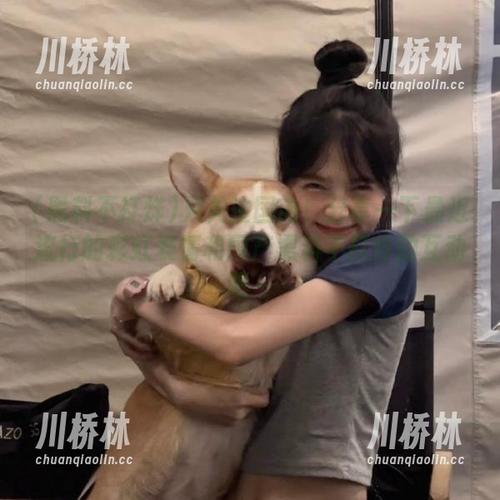 只关注国内！分享一下最近流行的彩虹表情和国产黑料不打烊的互动吧～