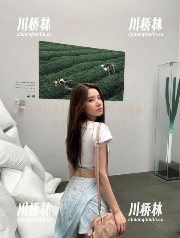 黑料不打烊 黑料不打烊下载堵塞,网址真的是梗的根源吗?